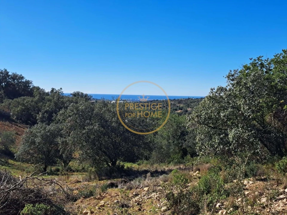 Terreno para Venda em Loule (São Clemente) Foto 2