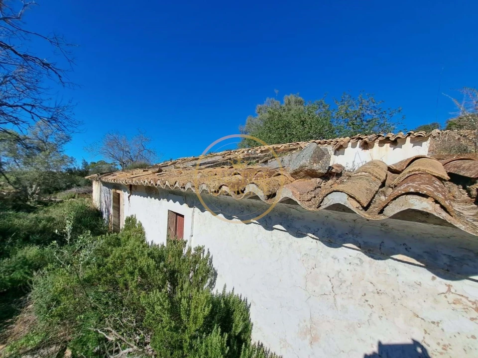 Terreno para Venda em Loule (São Clemente) Foto 8