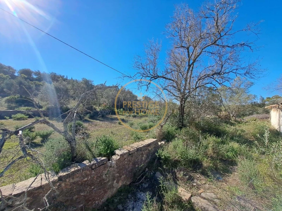 Terreno para Venda em Loule (São Clemente) Foto 20