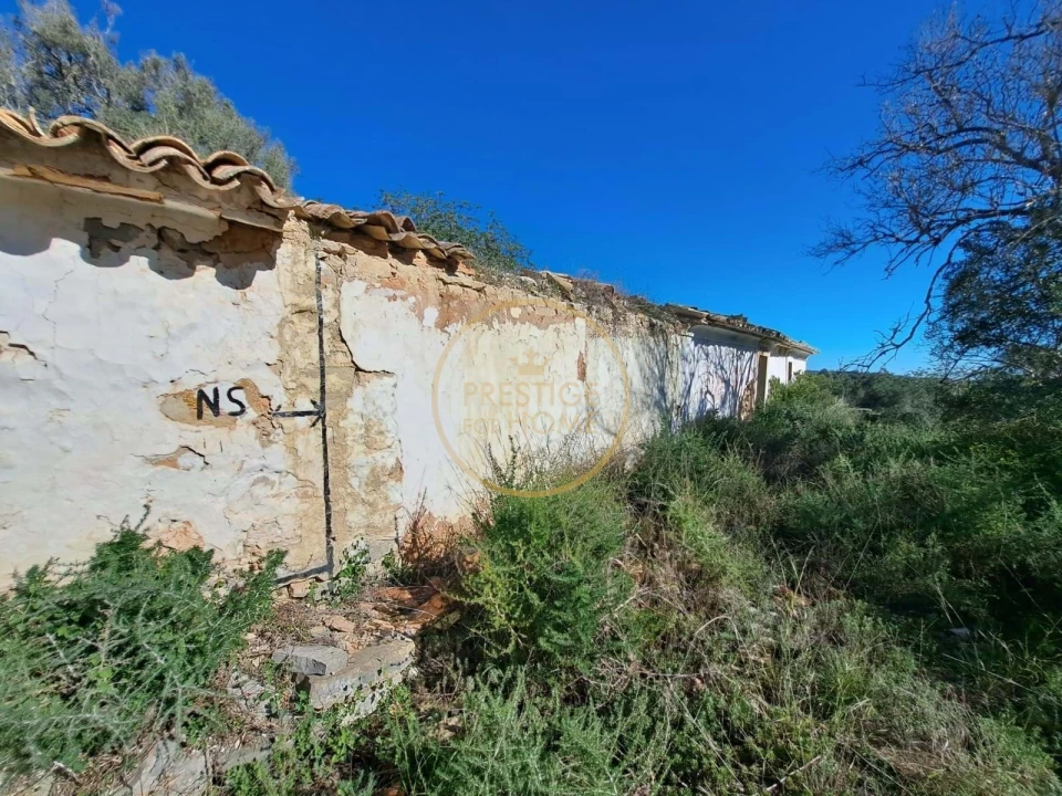 Terreno para Venda em Loule (São Clemente) Foto 5