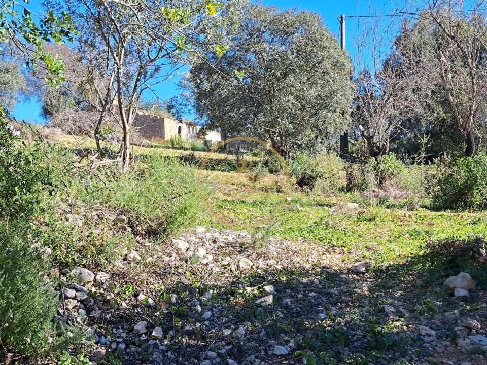Terreno para Venda em Loule (São Clemente) Foto 17