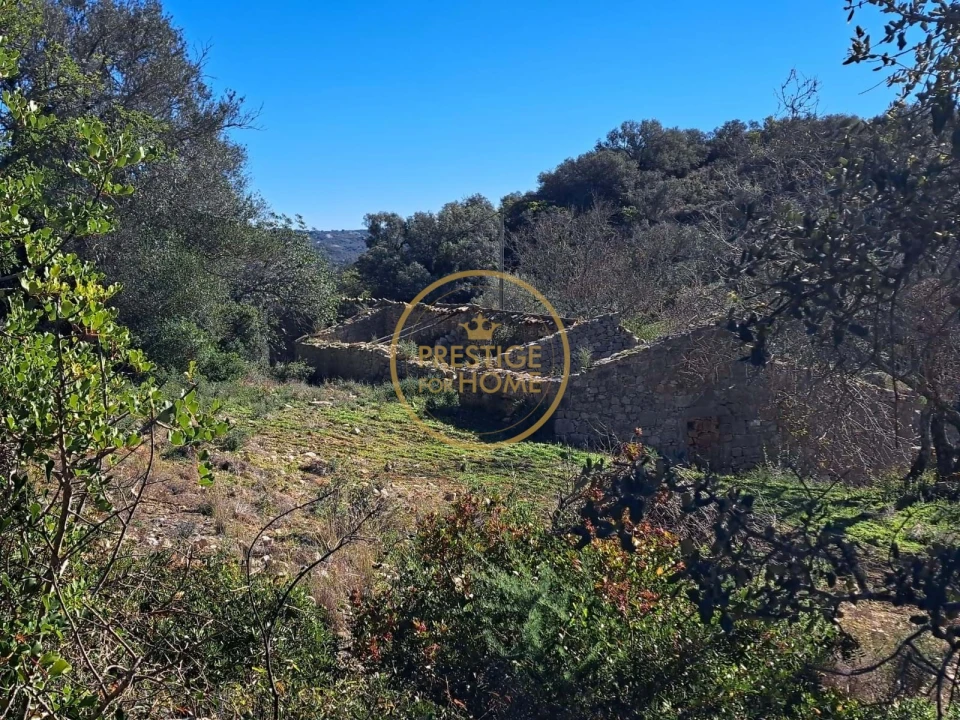 Terreno para Venda em Loule (São Clemente) Foto 10