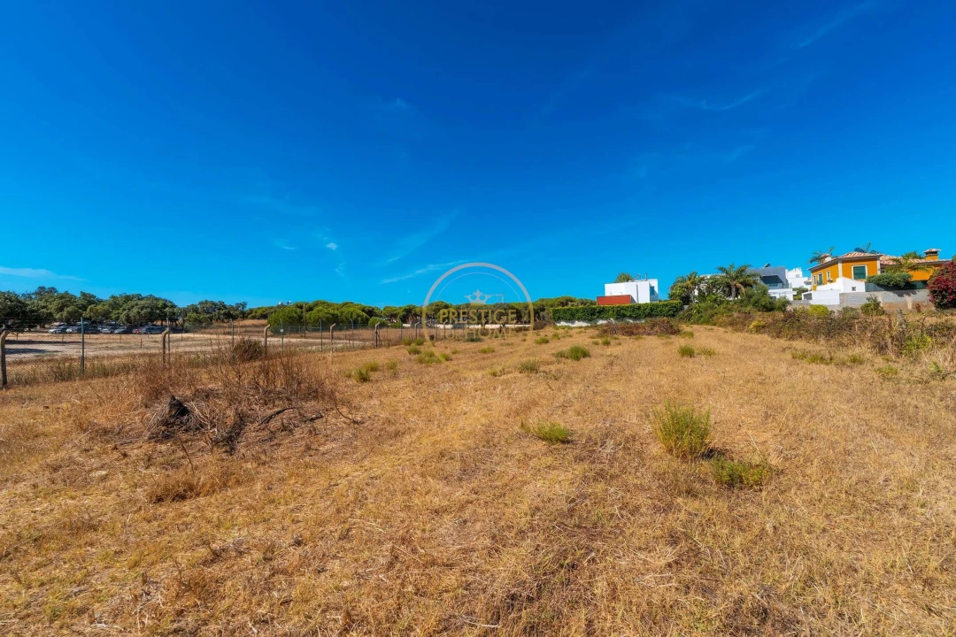 Terreno para Arrendamento em Montenegro Foto 31