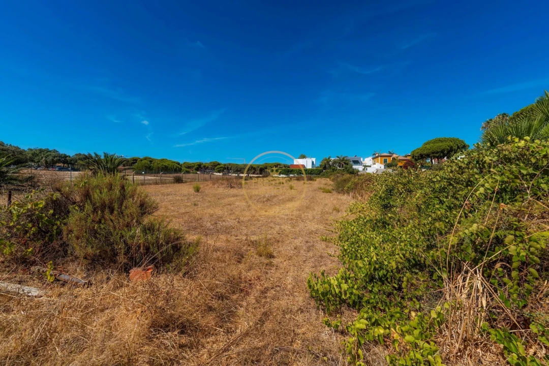 Terreno para Arrendamento em Montenegro Foto 20
