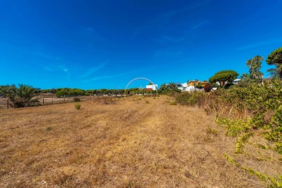 Terreno para Arrendamento em Montenegro
