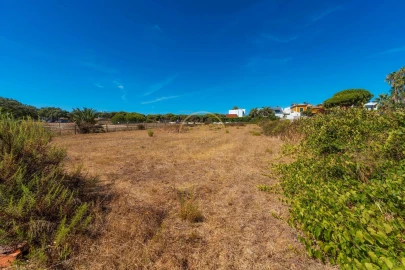 Terreno para Arrendamento em Montenegro
