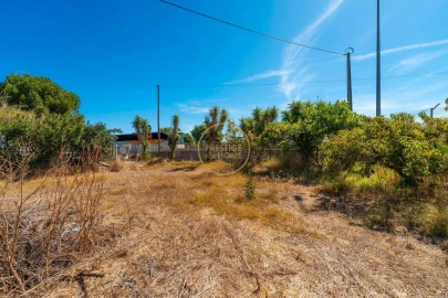Terreno para Arrendamento em Montenegro