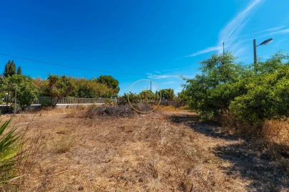 Terreno para Arrendamento em Montenegro