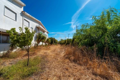 Terreno para Arrendamento em Montenegro
