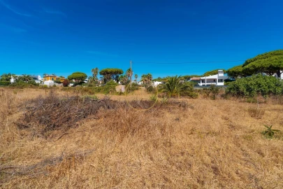 Terreno para Arrendamento em Montenegro
