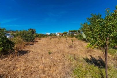 Terreno para Arrendamento em Montenegro