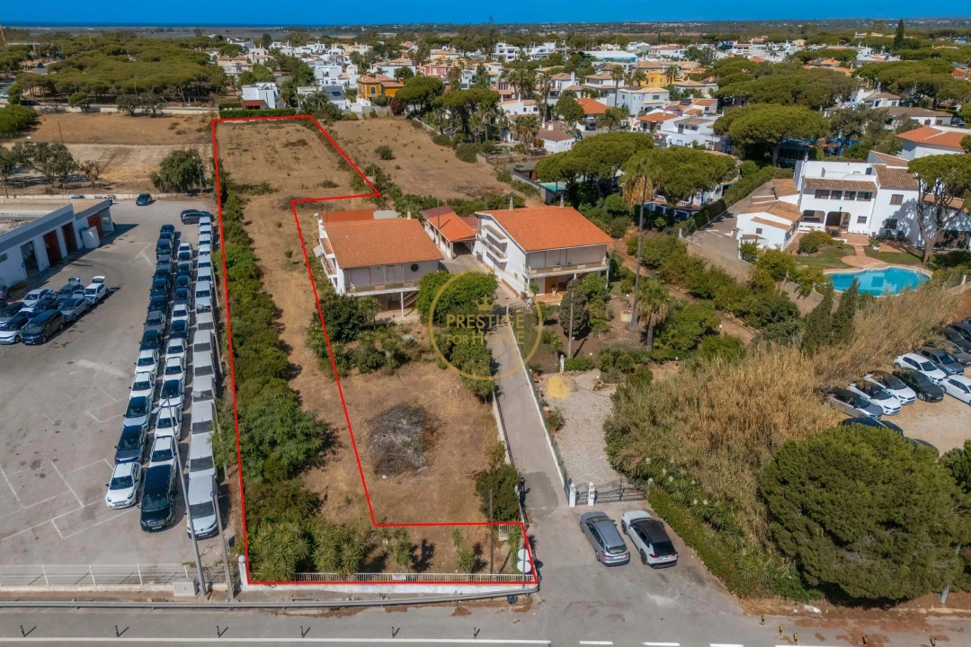 Terreno para Arrendamento em Montenegro Foto 5