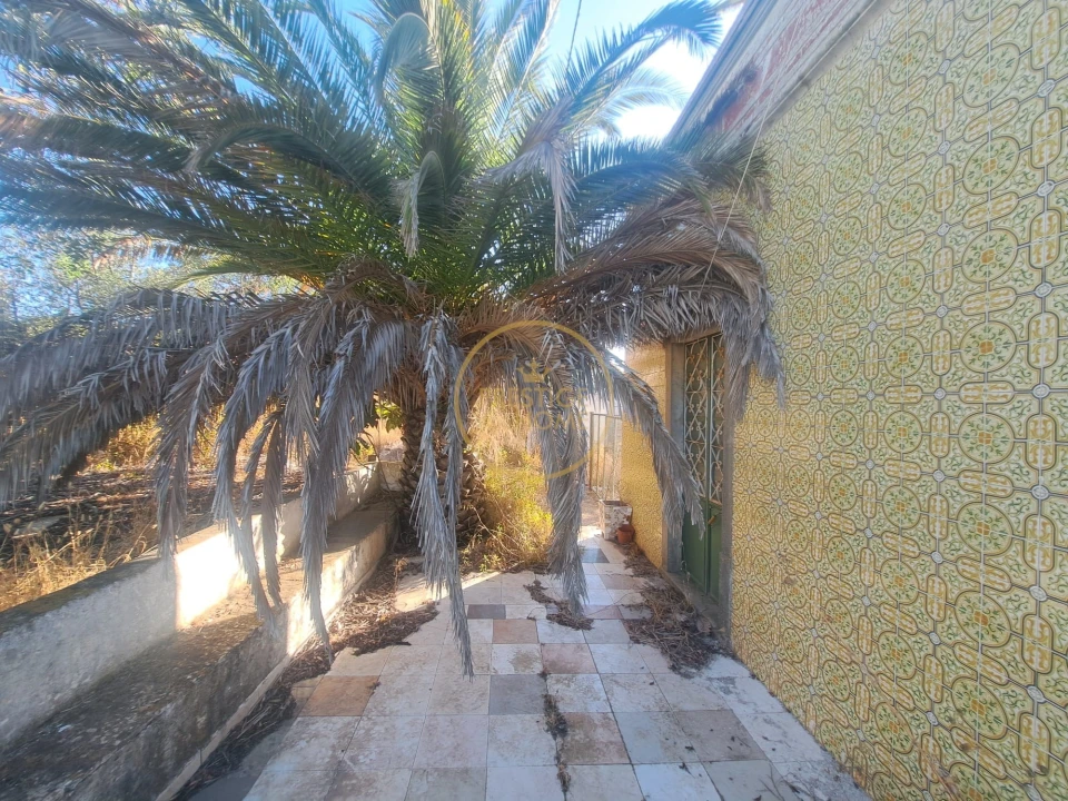 Moradia T3 para Venda em Loule (São Clemente) Foto 13