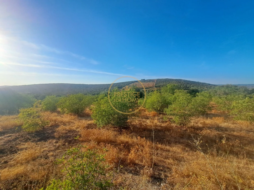 Moradia T3 para Venda em Loule (São Clemente) Foto 42