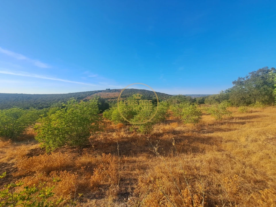 Moradia T3 para Venda em Loule (São Clemente) Foto 47