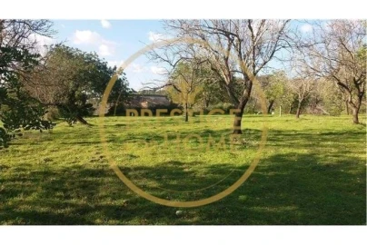 Terreno para Venda em Boliqueime