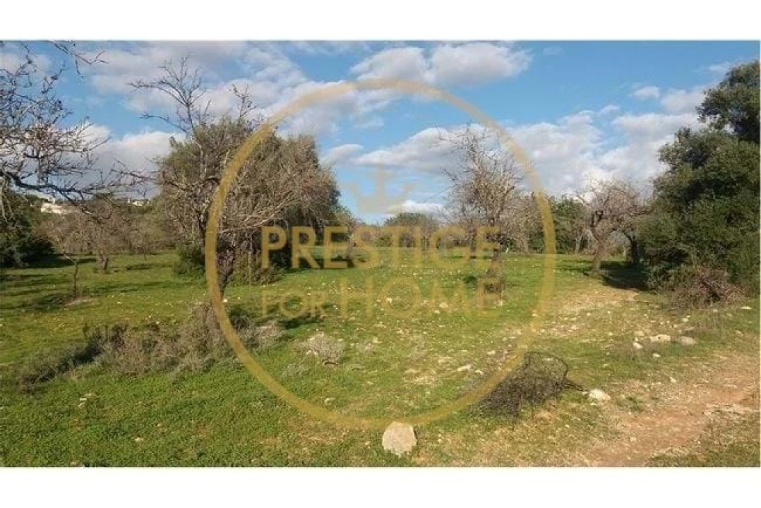 Terreno para Venda em Boliqueime Foto 8