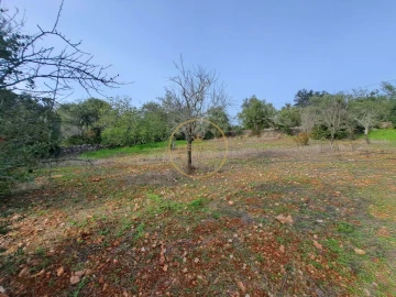 Terreno para Venda em Loule (São Clemente)