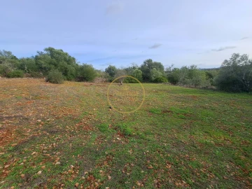 Terreno para Venda em Loule (São Clemente)