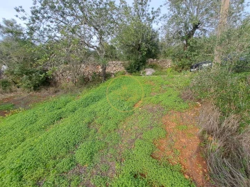 Terreno para Venda em Loule (São Clemente)