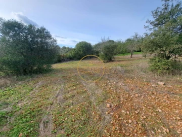 Terreno para Venda em Loule (São Clemente)
