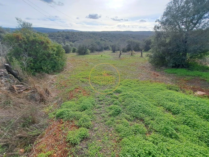 Terreno para Venda em Loule (São Clemente) Foto 16