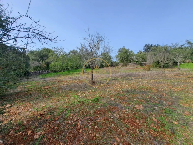 Terreno para Venda em Loule (São Clemente) Foto 7