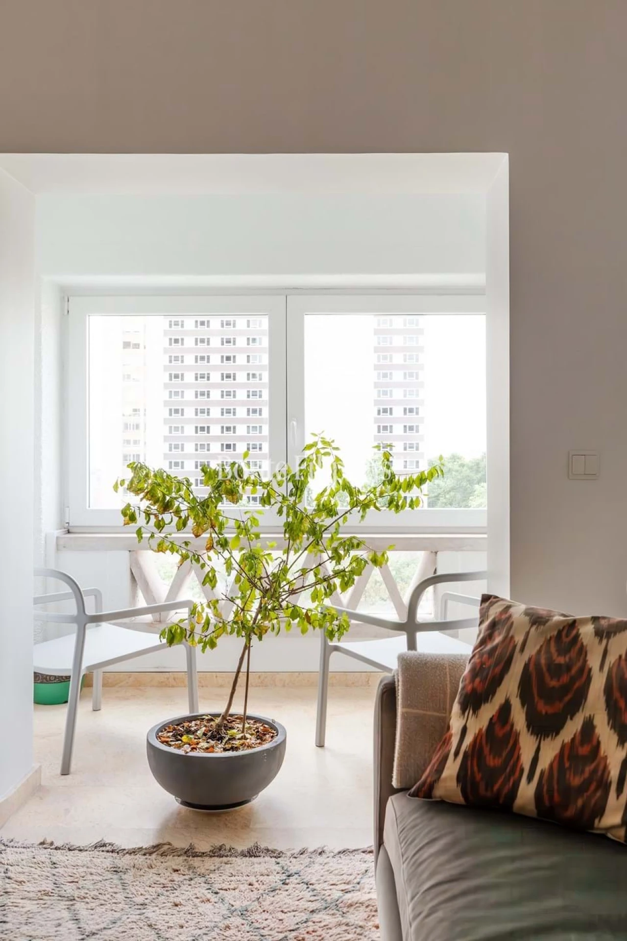 Apartamento T4 para Venda em Avenidas Novas Foto 13