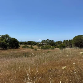 Terreno para Venda em Melides