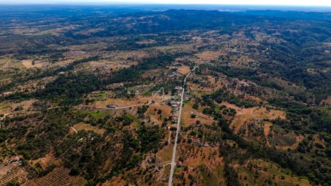 Terreno para Venda em Melides