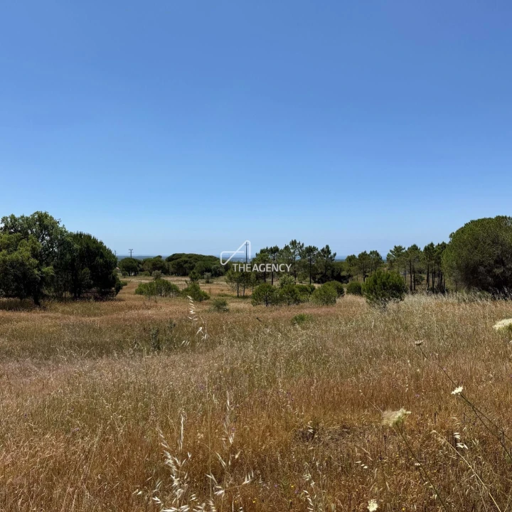 Terreno para Venda em Melides Foto 4
