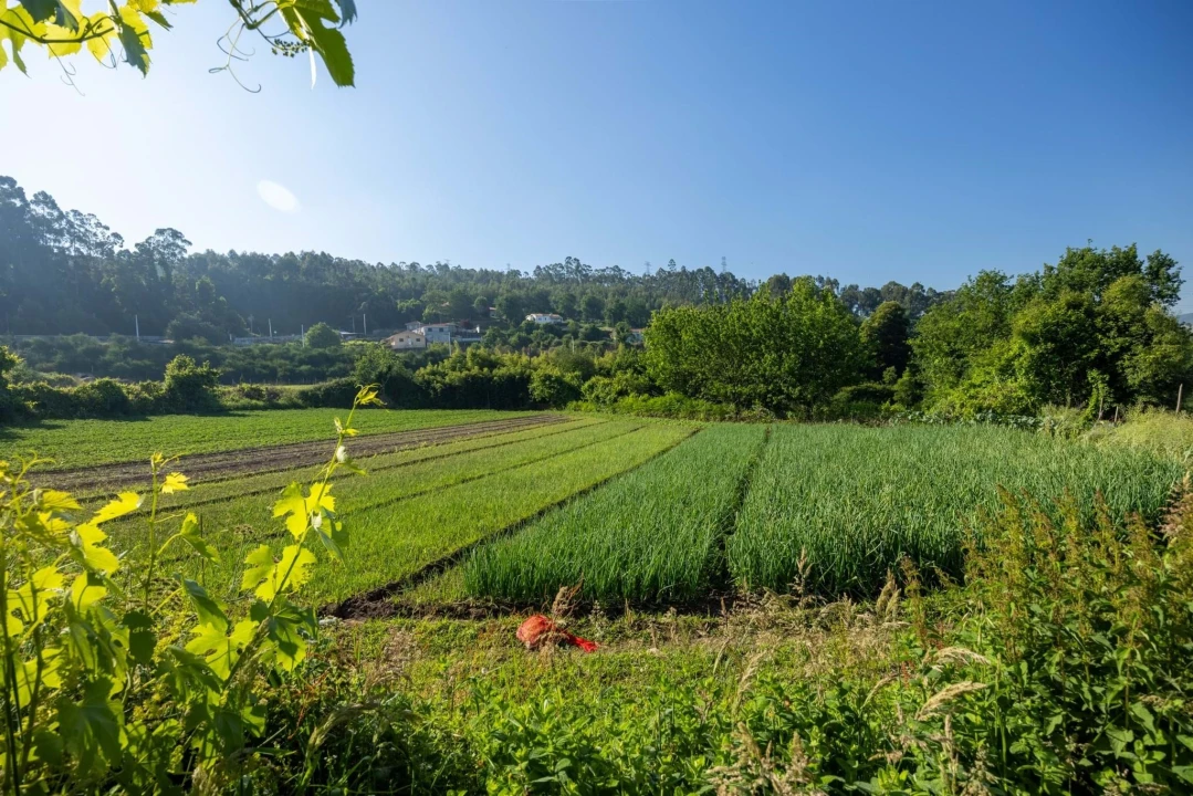 Quinta T5 para Venda em Penafiel Foto 2