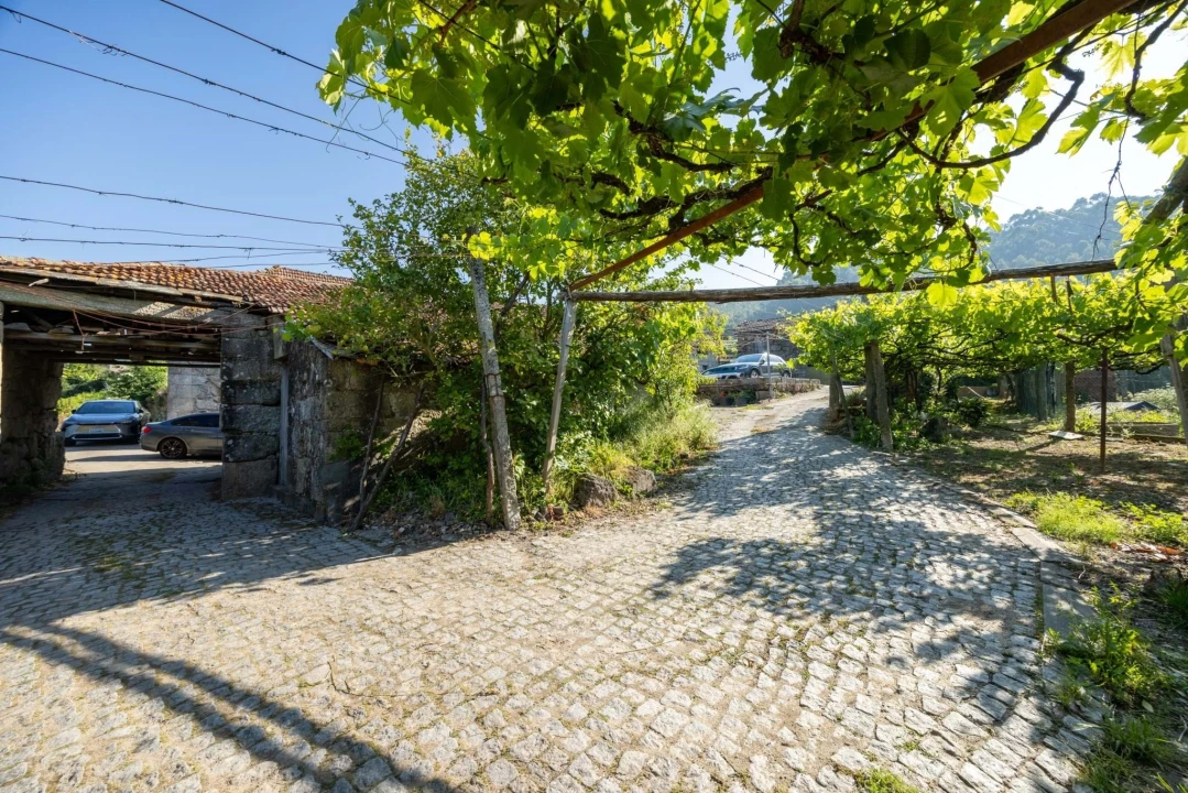 Quinta T5 para Venda em Penafiel Foto 4
