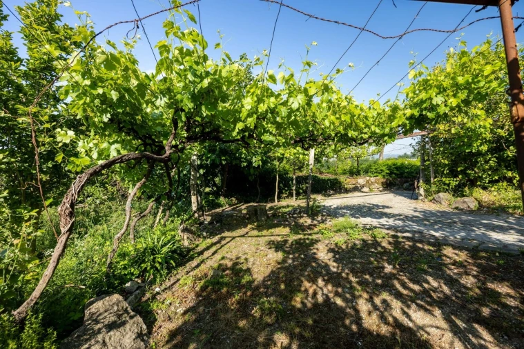Quinta T5 para Venda em Penafiel Foto 3