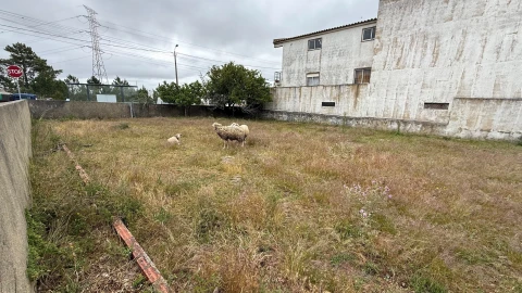 Terreno para Venda em Agualva e Mira-Sintra