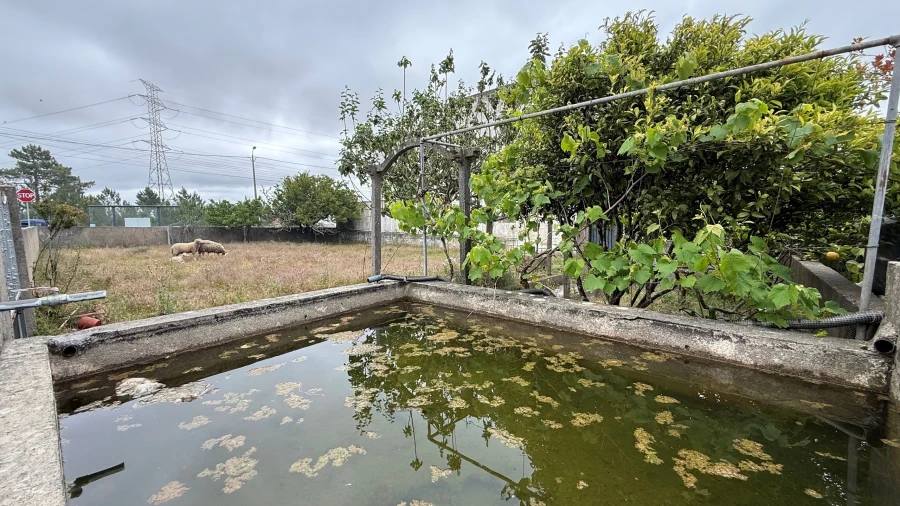Terreno para Venda em Agualva e Mira-Sintra Foto 7