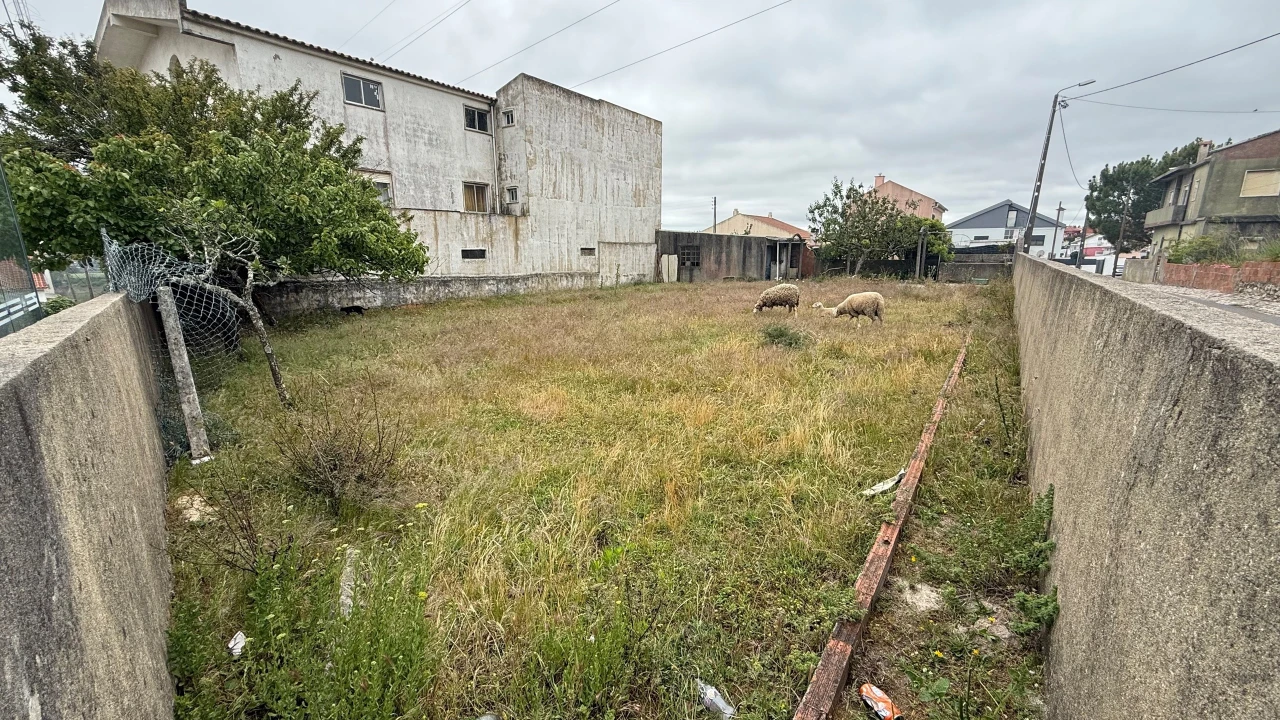 Terreno para Venda em Agualva e Mira-Sintra Foto 9