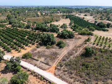 Terreno para Venda em Silves