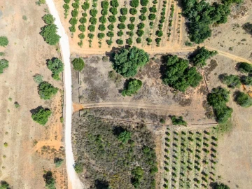 Terreno para Venda em Silves