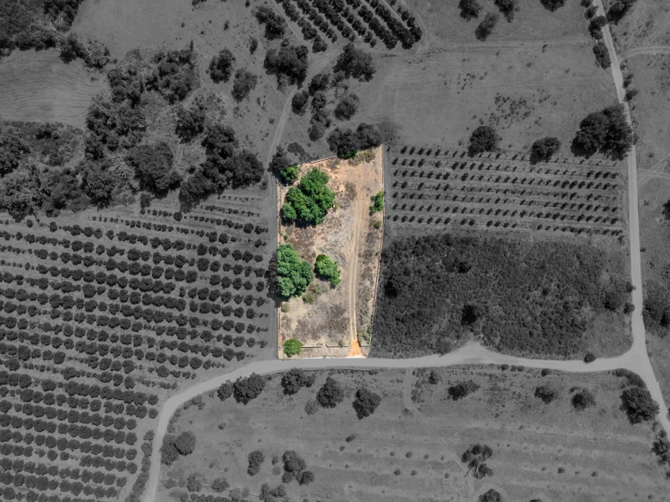 Terreno para Venda em Silves Foto 3