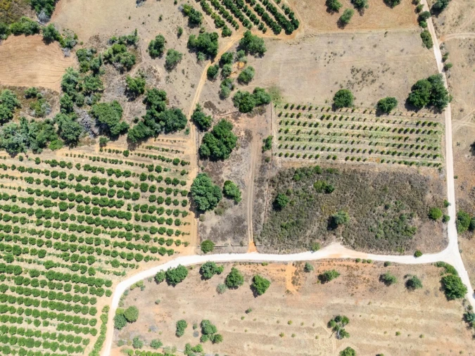 Terreno para Venda em Silves Foto 2