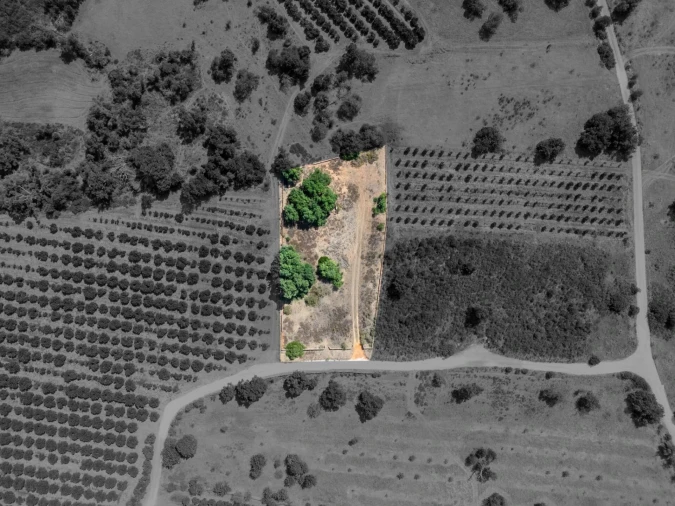 Terreno para Venda em Silves Foto 3