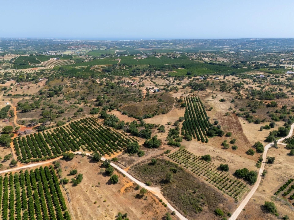 Terreno para Venda em Silves Foto 10