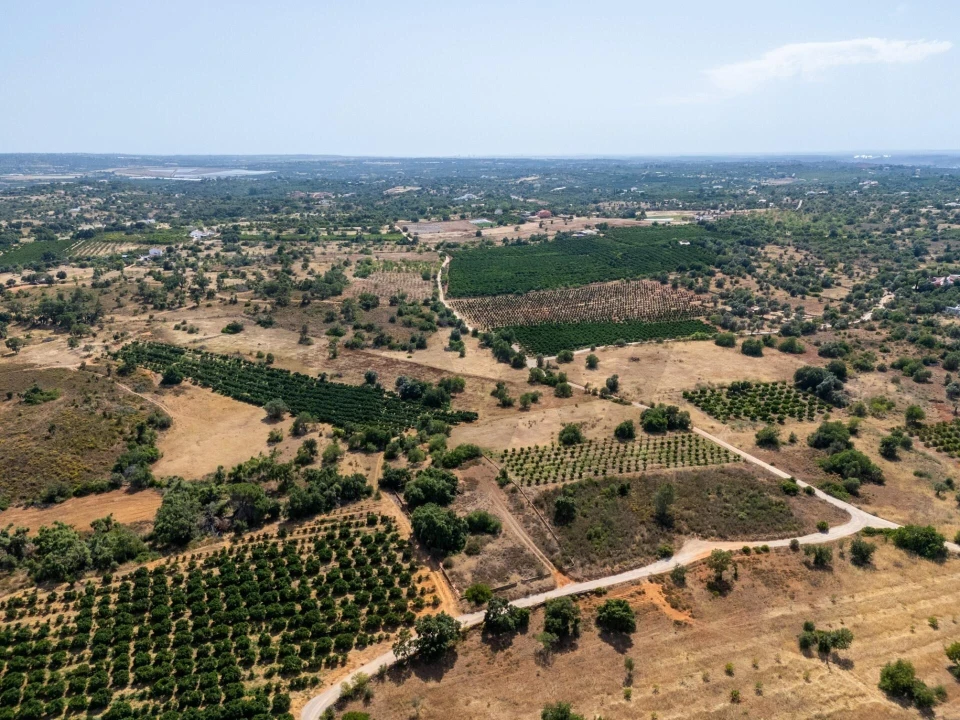 Terreno para Venda em Silves Foto 11