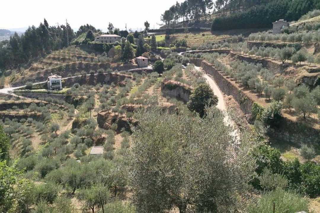 Quinta T11 para Venda em São Marcos da Ataboeira Foto 20