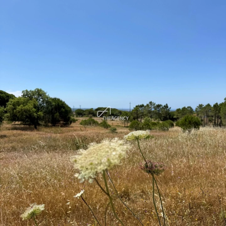 Terreno para Venda em Melides Foto 3