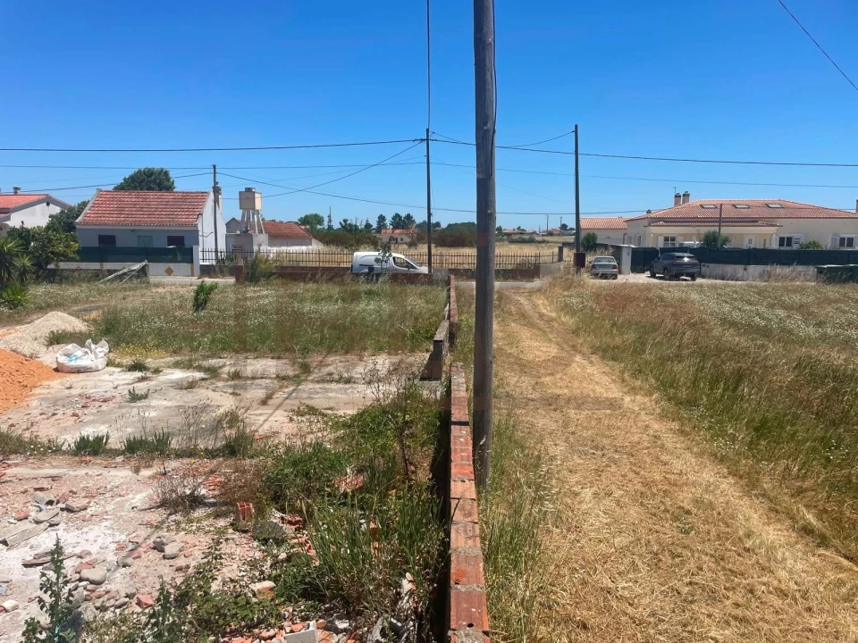 Terreno para Venda em Marinhais Foto 3