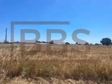 Terreno para Venda em Salvaterra de Magos e Foros de Salvaterra