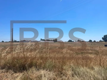 Terreno para Venda em Salvaterra de Magos e Foros de Salvaterra