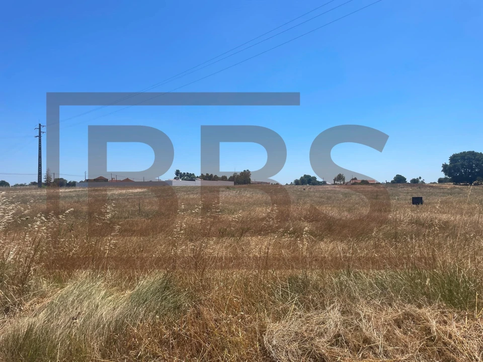 Terreno para Venda em Salvaterra de Magos e Foros de Salvaterra Foto 3